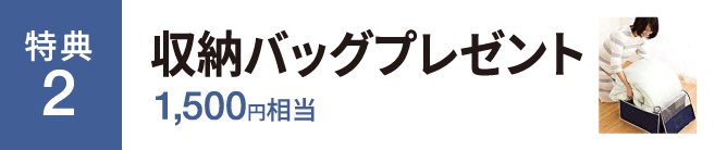 収納バッグプレゼント