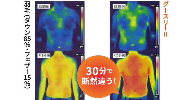 羽毛とグースリーの比較図