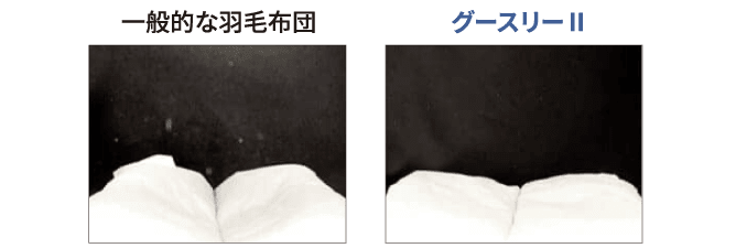 羽毛布団とグースリーのホコリの量の比較写真
